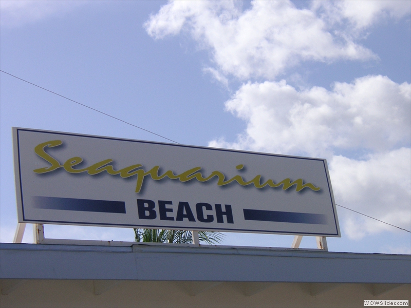 Jetzt geht es zum Sea Auqarium Beach
