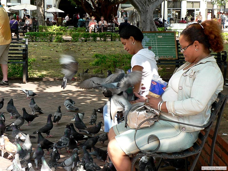Die Damen füttern die Tauben