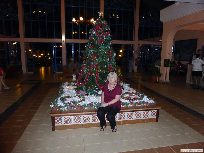Ilse beim Weihnachtsbaum