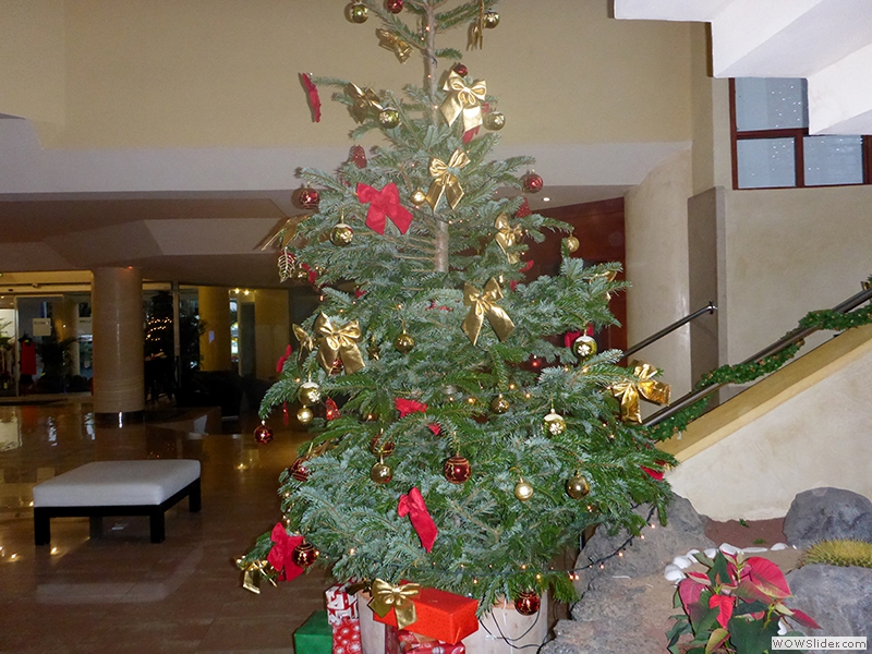 Später weihnachtlich mit Tannenbaum