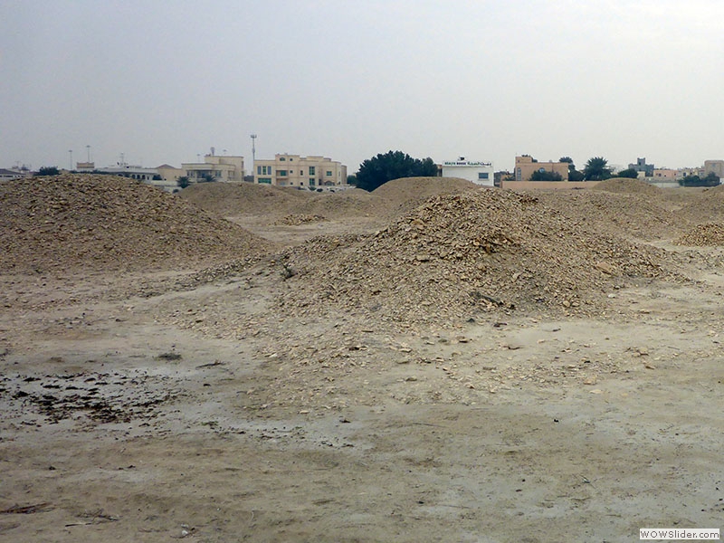 Bei den Hügelgräbern Bahrains