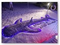 Unterhaltung bis Mitternacht
Ein aus Sand geformter Walhai am Strand
