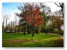Tag 2 - Spaziergang
Der kleine Park neben dem Sielhof leuchtet in Herbstfarben