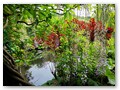Der Seerosenteich-Garten
Ein kleiner Teil vom Teich