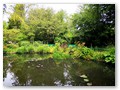 Der Seerosenteich-Garten
Sehr idyllisch