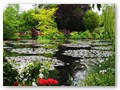 Der Seerosenteich-Garten
Der Teich ist trotzdem wunderschön