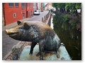 Kleiner Spaziergang durch Wismar
Die Schweinebrücke mit den vier Schweinen, Schwein 3