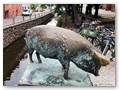 Kleiner Spaziergang durch Wismar
Die Schweinebrücke mit den vier Schweinen, Schwein 4