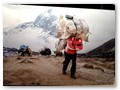 Bild: Träger in der Everest-Region
Beladen mit schwerer Last stapft dieser Hochgebirgsträger über steinige Pfade
Copyright: Alun Richardson/Westend61/getty images