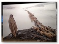 Bild: Leben in rauher Natur
Ein Hirte vom Stamm der Gaddi treibt seine Herde während eines Schneesturmes über den 4800 Meter hohen Thamsarpass in Nordindien
Copyright: Sankar Sridhhar